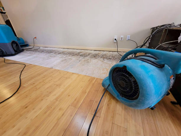 Professional Basement Flood Cleanup technician working in West Milton, PA